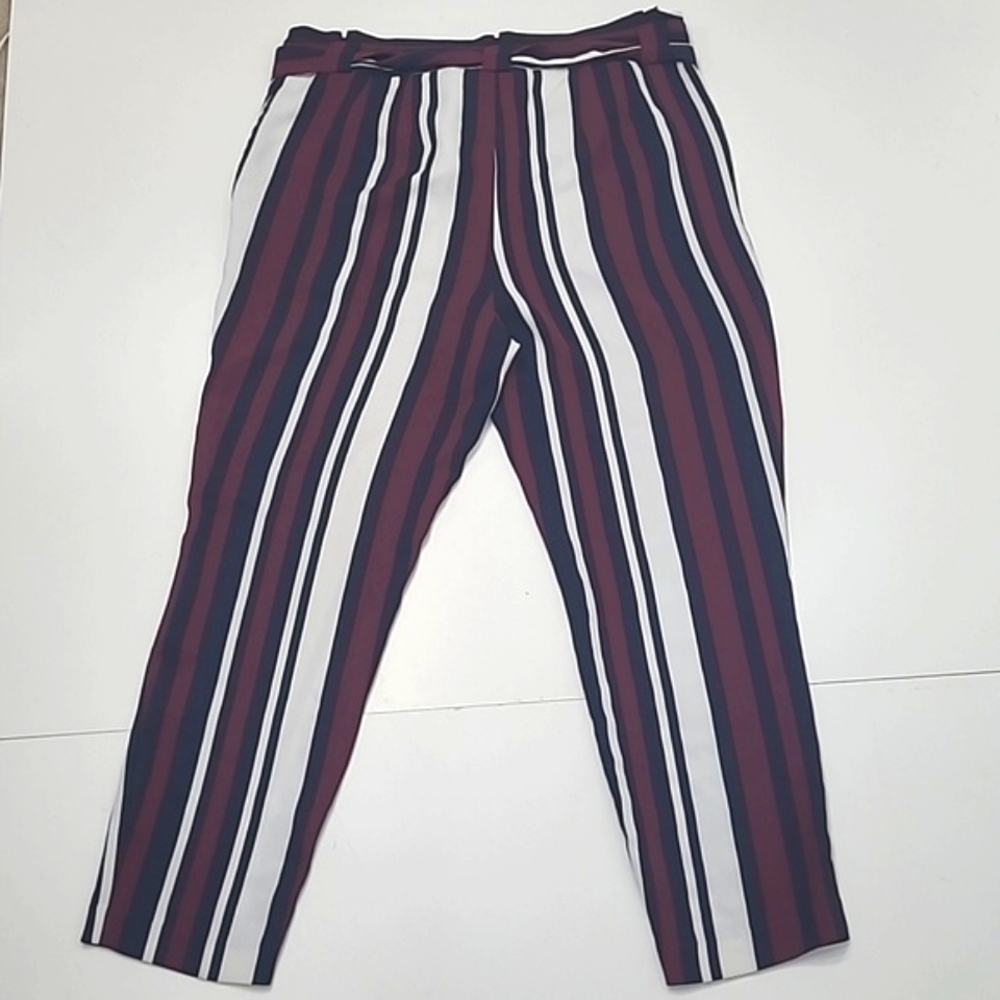 Express High Waist Rise Ankle Dress Pants Flowy Fit Pockets Accent Belt Sz 14 - Picture 10 of 17
